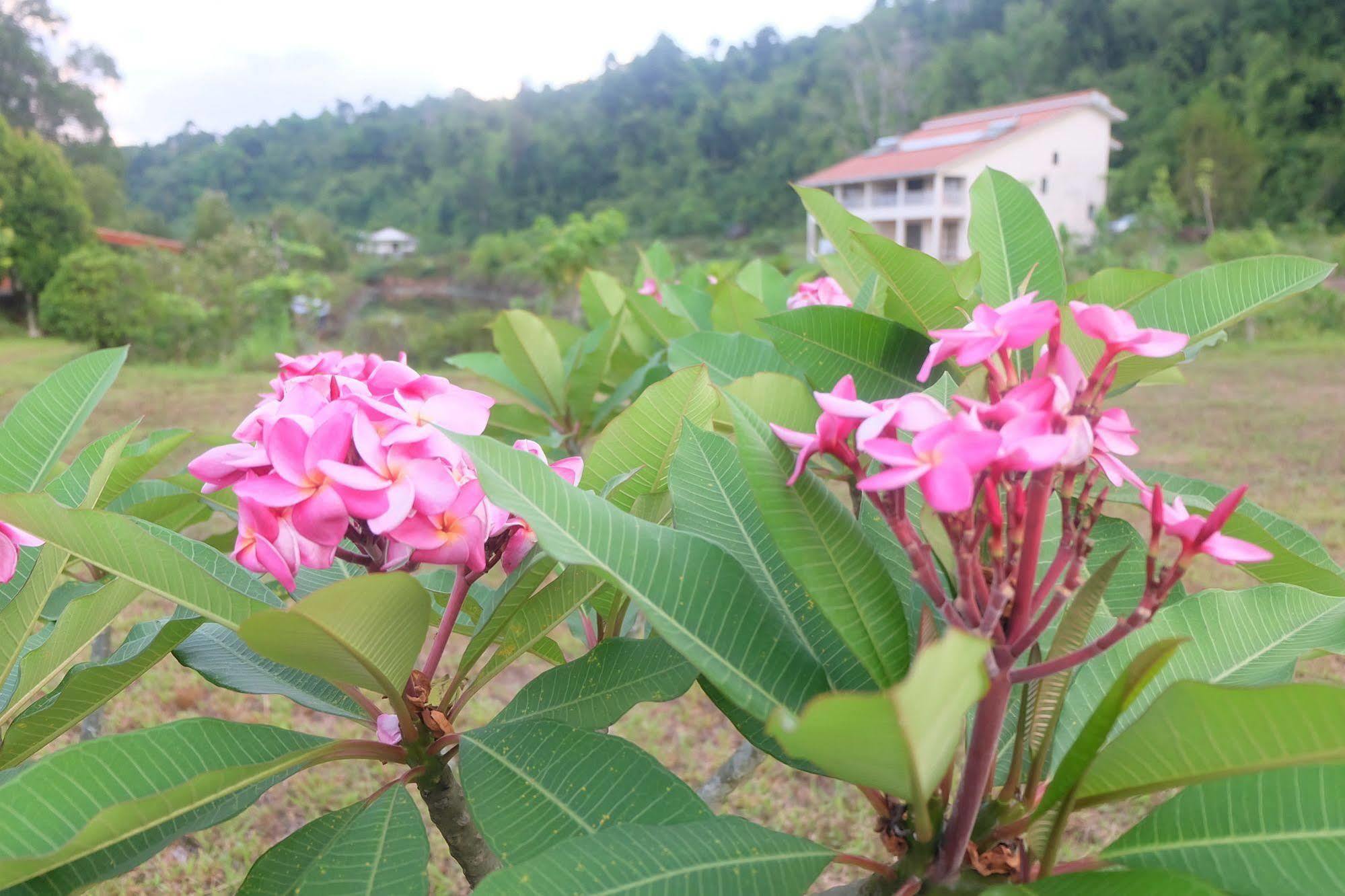 Tatai Hotel Resort & Marina Exterior photo